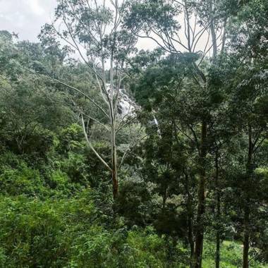 Ella Retreat Cottage for Nature Lovers