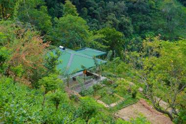 Artist cottage Haputale