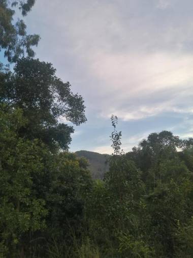 Ella foret accommodation