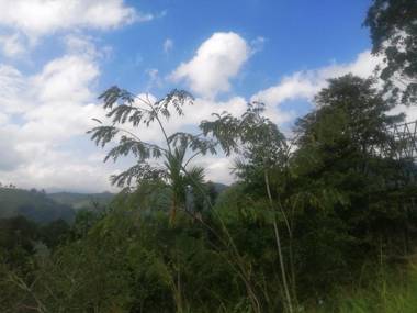 Ella foret accommodation