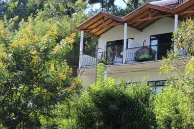 Slon White Elephant Ella