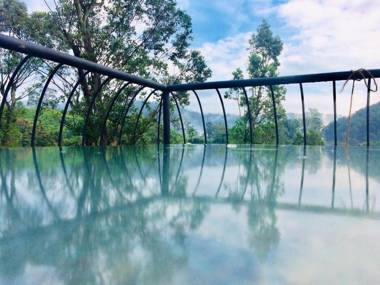 Slon White Elephant Ella