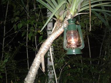 Blue Sky Guest House