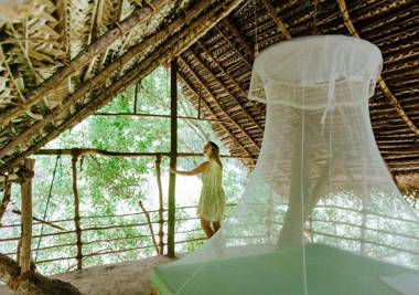 Back of Beyond - Wild Haven