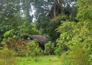 Back of Beyond - Wild Haven