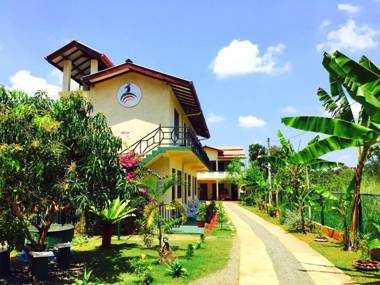 New Peacock Resort