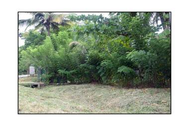 Sun and Green Eco Lodge - Dambulla