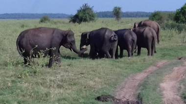 The Green Village Dambulla
