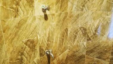 Araliya Self Cooking Resort Dambulla