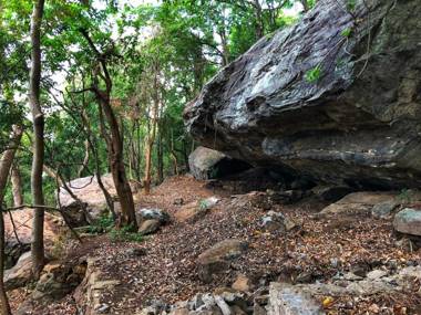 Arangala Forest Lodge