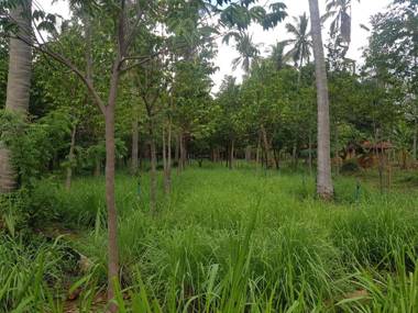 Eco Village Kalundewa