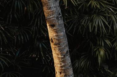 Villa Republic Bentota (06 bedroom)