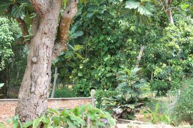 Siriniwasa Villa Induruwa