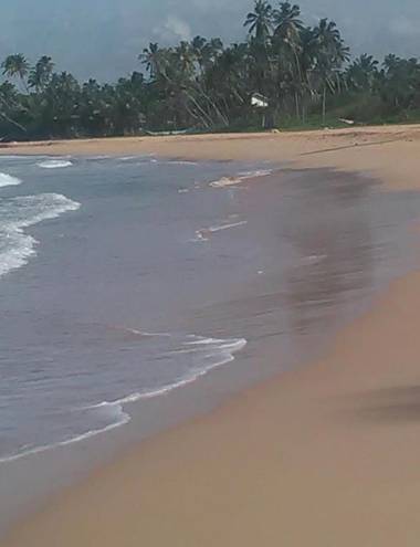 Brian's Homestay Balapitiya