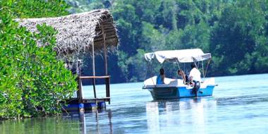 Holiday Home Bentota