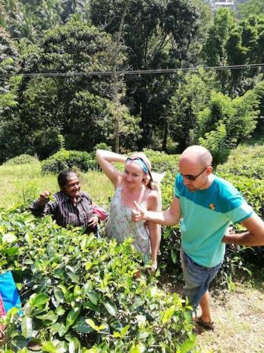 Luxury My Villa Bentota 200m Bentota Beach