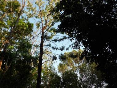 Green Valley Holiday Resort