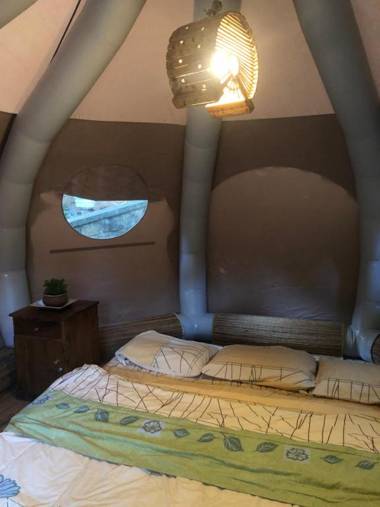 Surrey Bird Sanctuary & Holiday Resort