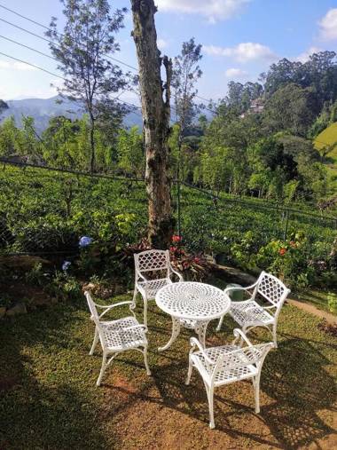 Windsor Forest bungalow