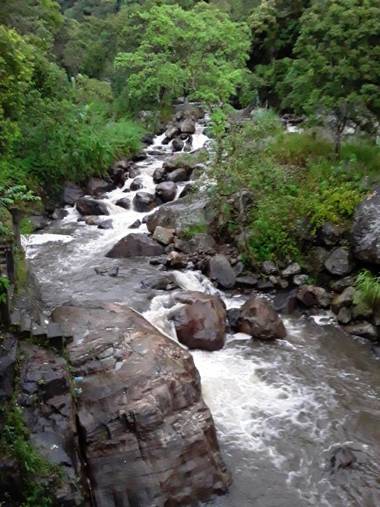 Mount View Family Rest & Cottage