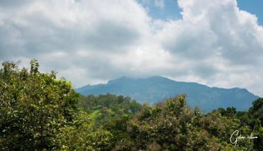 Lavista Holiday Bungalow