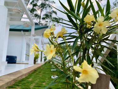 Mount Edge Riverside Hotel