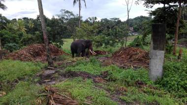 Sacred City Tourist Resort
