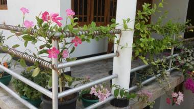 Rich Resort & Restaurant