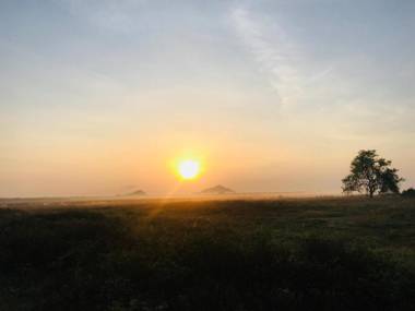 Treasure House Tourist Rest