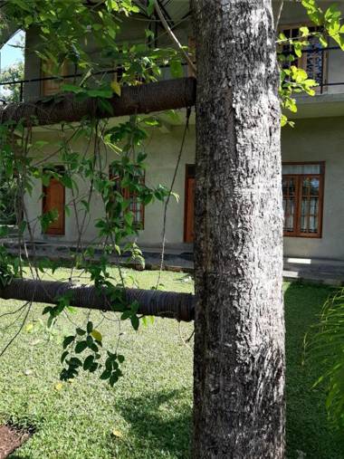 Hotel Afenta - Mihintale