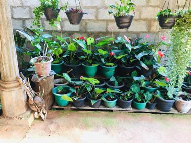 Sweet Home Tourist Rest Cooking Classes & Tours