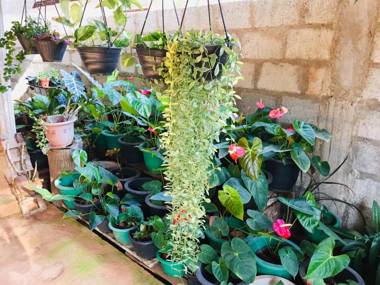 Sweet Home Tourist Rest Cooking Classes & Tours