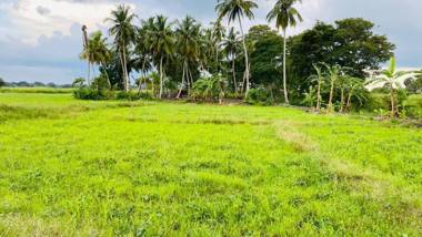 Hummingbird Leisure Villa-Anuradhapura