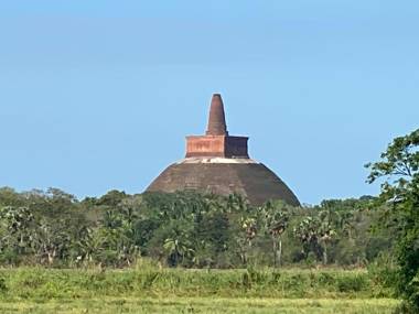 Hummingbird Leisure Villa-Anuradhapura