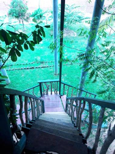 Yala Eco Tree House