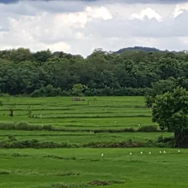 Mailagama Cinnamon Residence