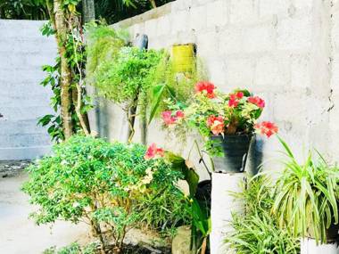 Surfing Waves Madiha