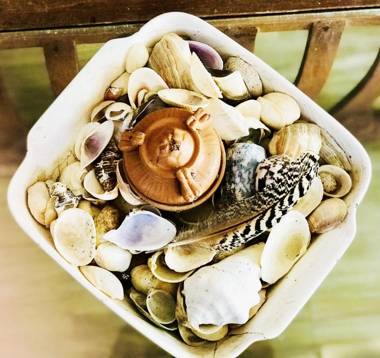 Surfing Waves Madiha