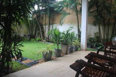 Bird's Nest by Natures Bliss