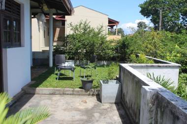 Bird's Nest by Natures Bliss