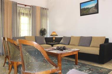 Bird's Nest by Natures Bliss