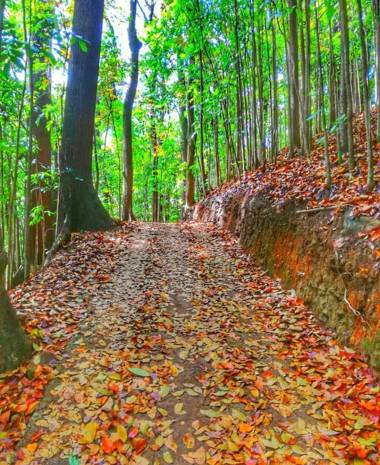 Boo Kirinda Holiday Resort