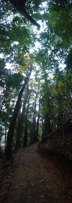 Boo Kirinda Holiday Resort