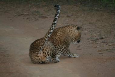 Flower Garden Lake Resort