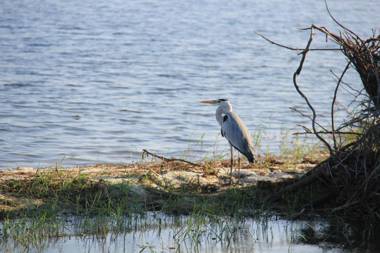 Flower Garden Lake Resort