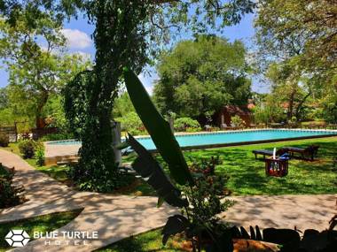 Blue Turtle Hotel