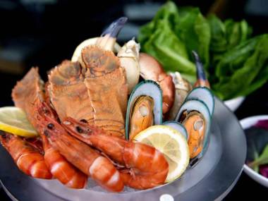 Yala Leopard Mobile Camp