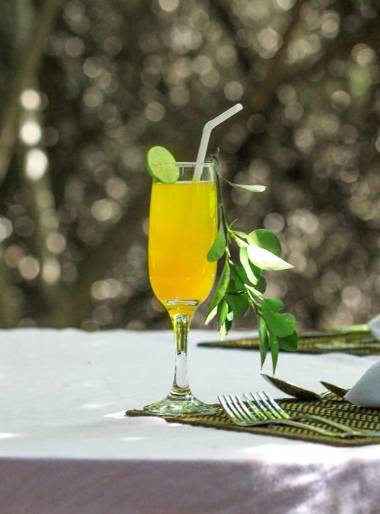 The Campers Lodge Yala Luxury Camping