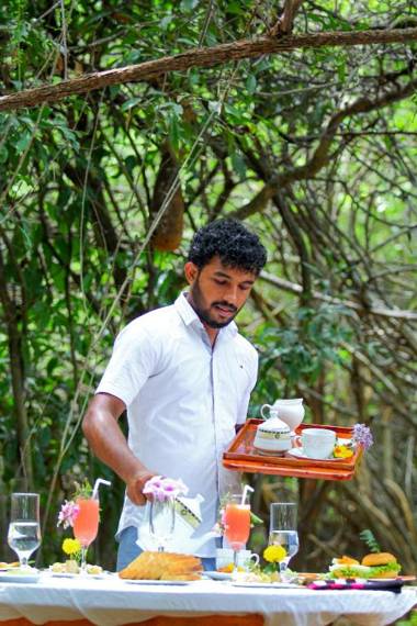 The Campers Lodge Yala Luxury Camping