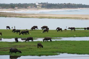 Sunset View Beach Hotel